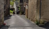Trail Walking Saint-Chély-d'Aubrac - Aubrac st Come d'olt st Jacques  - Photo 6