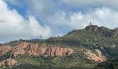 Tour Wandern Saint-Raphaël - autour de Roussiveau - Photo 15