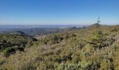 Tocht Stappen Aubagne - Font de Mai Garlaban - Photo 2