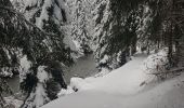 Randonnée Raquettes à neige Champagny-en-Vanoise - pralongnan - Photo 6