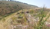 Trail On foot Emek Izrael Regional Council - Basalt Canyon - Tabor Stream - Photo 5