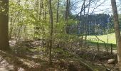 Trail Walking Spa - spa de la ville a la fagne - Photo 1