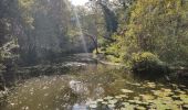 Tour Wandern Cabasse - Autour de Cabasse - Photo 11