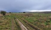 Randonnée A pied Unknown - Avebury Archaeology Walk - Photo 6