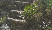 Excursión Senderismo Méounes-lès-Montrieux - Autour de la chapelle de Montrieux - Photo 9