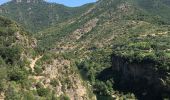 Randonnée Marche Vieussan - Tour de l’Ayrolle au départ de Vieussan. - Photo 7