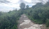 Trail Walking Villetelle - Sensei pascal  - Photo 5