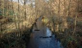 Tour Zu Fuß Hirschhorn - Rundwanderweg Rothenberg 5: Odenwald-Neckar-Runde - Photo 3