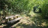 Randonnée Marche Cerfontaine - Balade autour de Cerfontaine - Photo 2