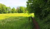Trail Walking Durbuy - Marche ADEPS Ozo 15 km - Photo 8