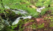 Randonnée Marche Bethmale - Etang de Bethmale - Photo 4