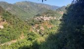 Trail Walking Vallées-d'Antraigues-Asperjoc - Antraigues - Photo 12