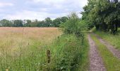 Trail Walking Theux - entre la ferme st Remacle et Hodbomont - Photo 14