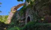 Trail Walking Ottrott - Le circuit des 5 châteaux - Photo 11