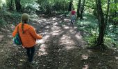 Trail Walking Meerfeld - Meerfelder Maar en Waldsbornkratersee (PVDB ) - Photo 17