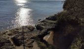 Trail Walking Meschers-sur-Gironde - meschers - Photo 1