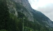 Trail On foot Forni di Sotto - IT-378 - Photo 2
