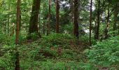 Randonnée A pied Paldau - Paldauer Höhepunkte - Photo 6