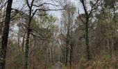 Trail Walking Arsac - Arsac : randonnée entre vignes et sous bois  - Photo 2