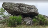 Tour Wandern Olloix - de Olloix à Champeix - Photo 2