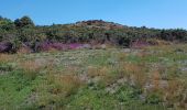 Trail Walking Tréhorenteuc - les landes de Gurwant et le Val sans retour - Photo 6