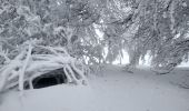 Randonnée Raquettes à neige Soultz-Haut-Rhin - Raquettes au Molkenrain - Photo 3