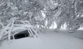 Tocht Sneeuwschoenen Soultz-Haut-Rhin - Raquettes au Molkenrain - Photo 3