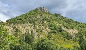 Tour Wandern La Motte-Chalancon - La Motte Chalancon - Plateau de la Chau - Photo 6