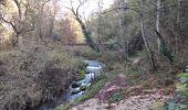 Trail Walking Gréoux-les-Bains - Gréoux -st.martin par les plateaux  - Photo 3