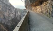 Trail Walking Cognin-les-Gorges - Les gorges du Nan - Photo 15