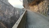 Randonnée Marche Cognin-les-Gorges - Les gorges du Nan - Photo 15