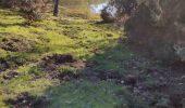 Trail Walking Fréjus - z tdm 25-01-19 - Photo 3