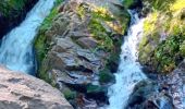 Trail Walking Le Tholy - cascades et hêtre de la vierge  - Photo 1