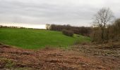 Tocht Stappen Itter - Ittre, Bois des Frères, Champ d'Hurbise - Photo 2