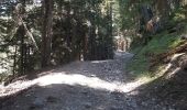 Tour Wandern Ancelle - toufde la Pinouse : pré bouria . Le rouanne . la pinouse . moissiere . pré bouria - Photo 10