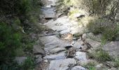 Trail Walking Faugères - Ribes - Photo 4