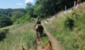 Trail Horseback riding Falck - Falck, forêt de la Houve  - Photo 5
