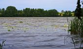 Tour Zu Fuß Angermünde - Wolletzseerundweg - Photo 5