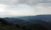 Trail Walking Ranspach - GTVosges - Étape 5 - Markstein - Thann - Photo 7