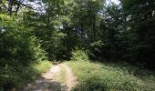 Trail Walking Sivry-Rance - Rance - Circuit Natura 2000, des sites qui valent le détour - Ht09 - Photo 9