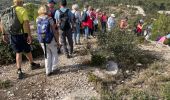 Percorso Marcia Cavaillon - PF-Cavaillon - La Colline Saint Jacques - Photo 2