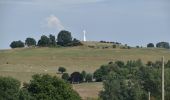 Tour Wandern Herve - 20220822 - Renouprez - 7.3 Km - Photo 13