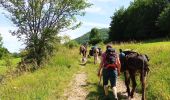 Trail Walking Vassieux-en-Vercors - Vassieux en Vercors- La Chapelle en Vercors- Rando Âne (2 et 3 ème jour) -  - Photo 7