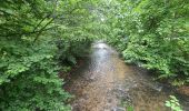 Tocht Stappen Saverne - Grotte St Vit & Rappenfels - Photo 11