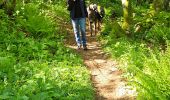 Tocht Stappen Xonrupt-Longemer - 2024 RA Vosges J1 Rando âne sur les crêtes - Photo 1