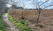 Tour Wandern Lanester - PR_56_Lanester_BA_02_Circuit1b_Marais-De-La-Goden_20230314 - Photo 6