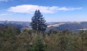 Tocht Stappen Vianden - vianden  .  bivels  .  vianden - Photo 19