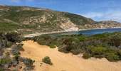 Trail Walking Calvi - Calvi : Pointe de revellata - Photo 13