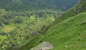 Trail Walking Xonrupt-Longemer - 2024 RA Vosges J4 autour du Kastelberg - Photo 4