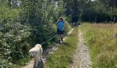 Trail Walking Hastière - Hastiere - Photo 5